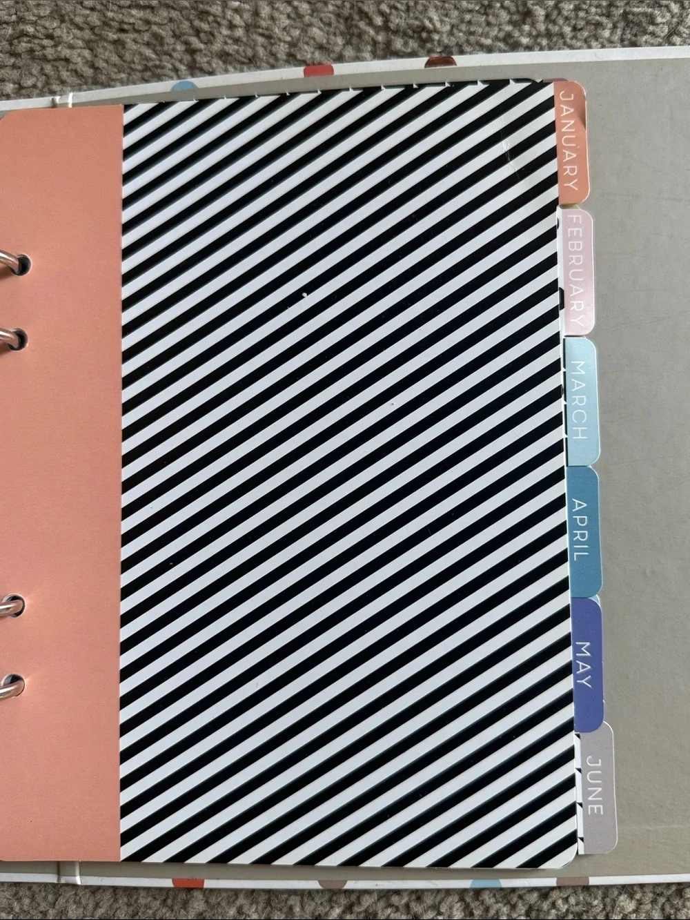 Confetti Dot Planner Binder!